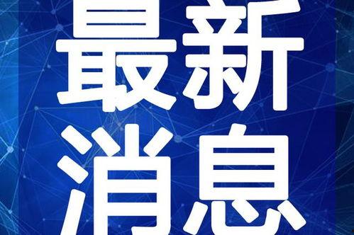 石湾热点爆料事件视频最新,最新爆料事件视频揭秘，真相大白！